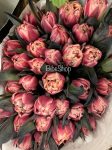 VIP tulipán 'Happy Rose'
