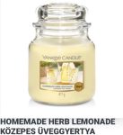 Közepes Homemade herb lemonade